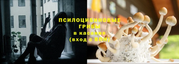 марки lsd Белокуриха