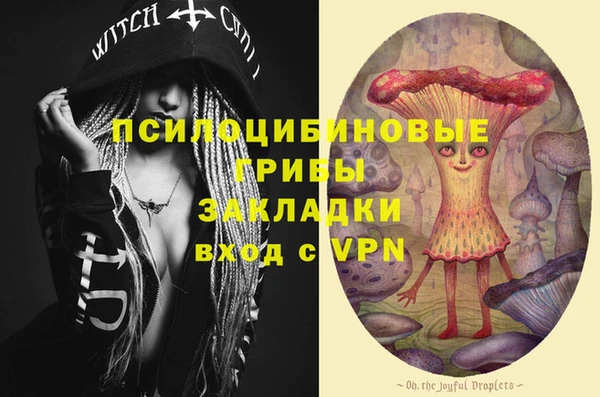 COCAINE Богородицк