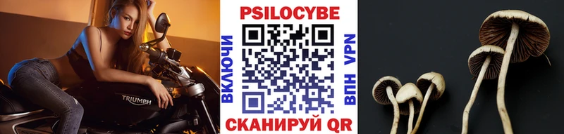 Галлюциногенные грибы ЛСД  Купить  Красавино 